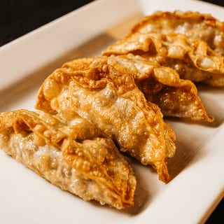 Vegetable Gyoza (5)